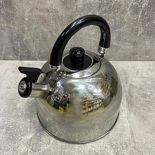 Чайник из нержавеющей стали 3,5 л A-Plus 1323