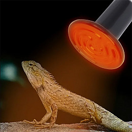 Керамічна нагрівальна лампа Lesko 00879 для терраріумів інфрачервона