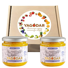 Джемы без сахара YAGODAR Ананас с кокосом 2 шт (2345343674)