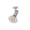 Светильник настенно-потолочный MSK Electric Diadem спот поворотный NL 22151-1 AL
