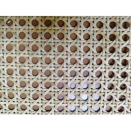 Ротанговая сітка Cruzo 1 м Бежевий