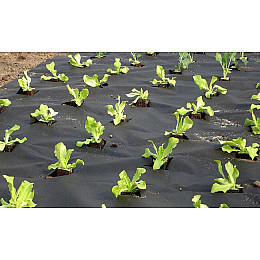 Тканина для мульчування 0.8x5 м неткана чорна Verdemax