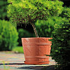 Горшок для цветов Derevo Elba-6 25 л терракот Form-Plastic