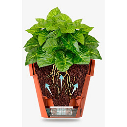 Умный вазон LATINA 2,5 л. антрацит Santino