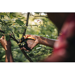 Плоскостний секатор Fiskars Plus P721 (1057170)