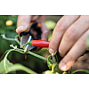 Ножницы для трав и цветов Fiskars Solid SP220 (1063326)