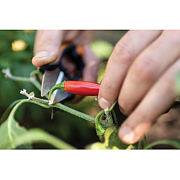 Ножиці для трав і квітів Fiskars Solid SP220 (1063326)