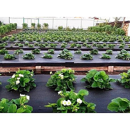 Агроволокно в рулоне для грядок Shadow 50 г/м2 1,6 х 100 м Черный