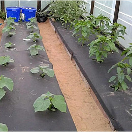 Агроволокно в рулоне для грядок Shadow 50 г/м2 1,6 х 100 м Черный