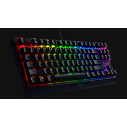 Клавиатура Razer BlackWidow V3 TKL RU (RZ03-03490700-R3R1) USB