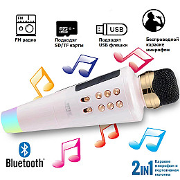 Беспроводной караоке микрофон Wster WS2711 2в1 Розовый AN 415615/3