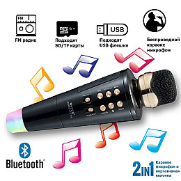 Беспроводной караоке-микрофон Wster WS2711 Черный AN 415615