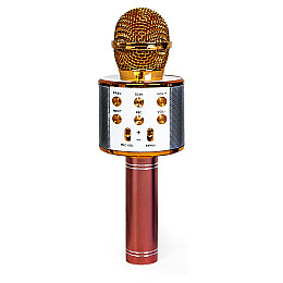 Беспроводной микрофон-караоке Wster MP3 Bluetooth Pink and Gold (1525693038)