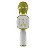 Портативный микрофон колонка караоке GDS DS813 с функцией смены голоса Золотой (824)