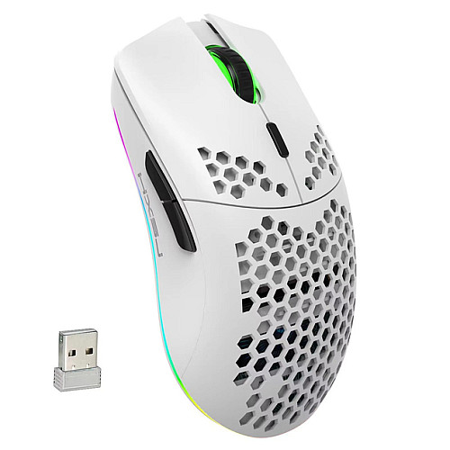 Мышь беспроводная HYSJ Т66 с аккумулятором и подсветкой 2,4G White