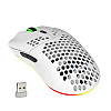 Мышь беспроводная HYSJ Т66 с аккумулятором и подсветкой 2,4G White