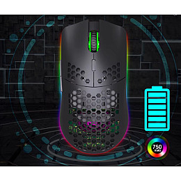 Мышь беспроводная HYSJ Т66 с аккумулятором и подсветкой 2,4G Black