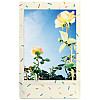 Фотопапір Fujifilm Instax Mini Sprinkles 8,6х5,4 см Різнокольоровий 10 шт