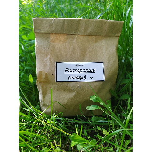 Расторопша пятнистая (плоди) Карпати 50 гр
