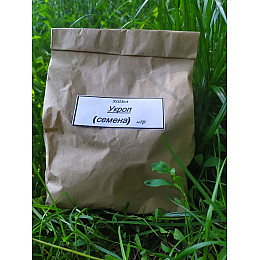 Укроп семена Карпаты 50 гр