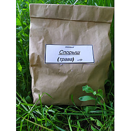 Спорыш Карпаты  50 гр лекарственная трава