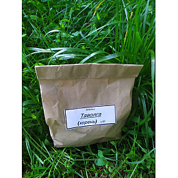 Таволга гадючник (корень) Карпаты 50 гр