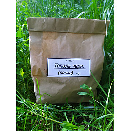 Тополь черный (почки) Карпаты 50 гр