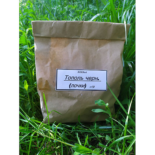 Тополя чорний (почки) Карпати 50 гр