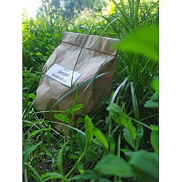 Цикорий обыкновенный (корень) Карпаты 50 гр