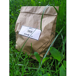 Чага (березовый гриб) Карпаты 50 гр