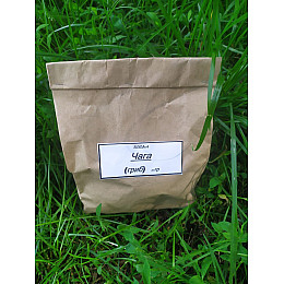 Чага (березовый гриб) Карпаты 50 гр