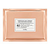 Тканевая маска для лица Dr.Althea Premium Essential Skin Conditioner Silk Mask 1 шт х 28 г (8809447250212)