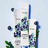 Маска для обличчя нічна в стиках Bioaqua Blueberry Arbutin Moisturizing Mask