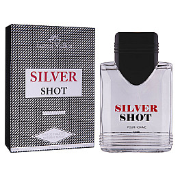 Чоловіча туалетна вода Lotus Valley Silver Shot 100 мл (2523651907)