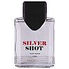 Чоловіча туалетна вода Lotus Valley Silver Shot 100 мл (2523651907)
