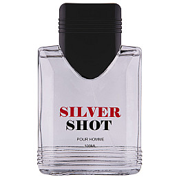Мужская туалетная вода Lotus Valley Silver Shot 100 мл (2523651907)