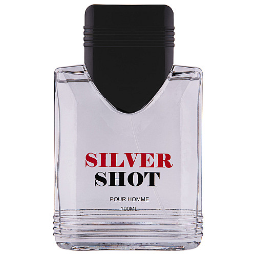 Чоловіча туалетна вода Lotus Valley Silver Shot 100 мл (2523651907)
