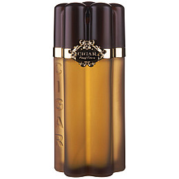 Мужская туалетная вода Parfums Parour Cigar 100 мл (2523651949)