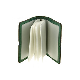 Кард-кейс BlankNote 7.0 Зеленый (BN-KK-7-iz-pero)