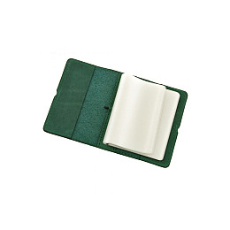 Кард-кейс BlankNote 7.0 Зеленый (BN-KK-7-iz)