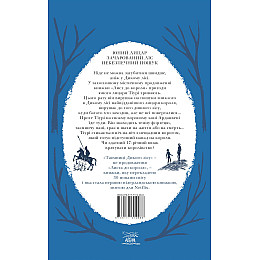 Книга НАІРІ Таємниці Дикого лісу Тонке Драгт 2022 488 с (674)