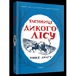 Книга НАІРІ Таємниці Дикого лісу Тонке Драгт 2022 488 с (674)