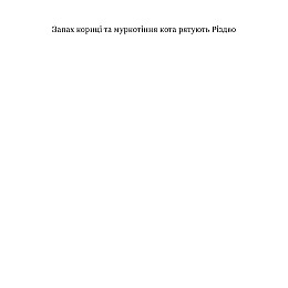 Книга НАІРІ Запах кориці та муркотіння кота рятують Різдво Тетяна Нечитайло 2024 р. 36 с (911)