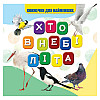Моя перша книжечка Jumbi VR06041708 Хто в небі літа 10 с (73709)