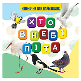 Моя перша книжечка Jumbi VR06041708 Хто в небі літа 10 с (73709)