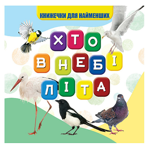 Моя перша книжечка Jumbi VR06041708 Хто в небі літа 10 с (73709)