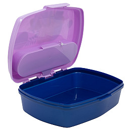 Ланч-бокс детский с ложкой и вилкой Stor Frozen (74209)