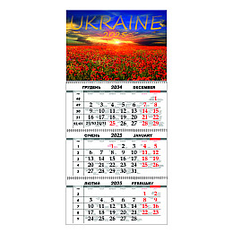 Квартальный настенный календарь на 2025 Vivay Украина 30x65 см Разноцветный (hub_1wev7s)