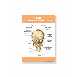 Методическое пособие Vivay Кісткова система людини А4 27 с (hub_7sme0p)