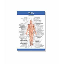 Методическое пособие Vivay Пластична анатомія А4 18 с (hub_a4g7my)
